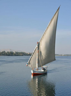 Al-Laythy Boat